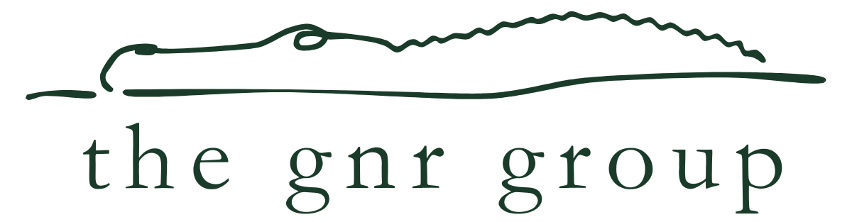 Logo for The GNR Group featuring a stylized, minimalist outline of an alligator above the company name in lowercase serif font.