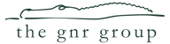 Logo for The GNR Group featuring a stylized, minimalist outline of an alligator above the company name in lowercase serif font.