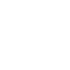 wired-outline-457-shield-security-hover-pinch (1)